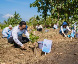 Berkomitmen Terhadap Keberlanjutan Lingkungan, Pelita Air Tanam 10 Ribu Pohon dan Lakukan Penerbangan Hijau